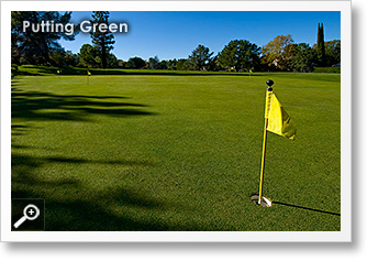 Putting Practice Green at Diablo Hills Golf Course